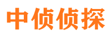 双阳市侦探调查公司